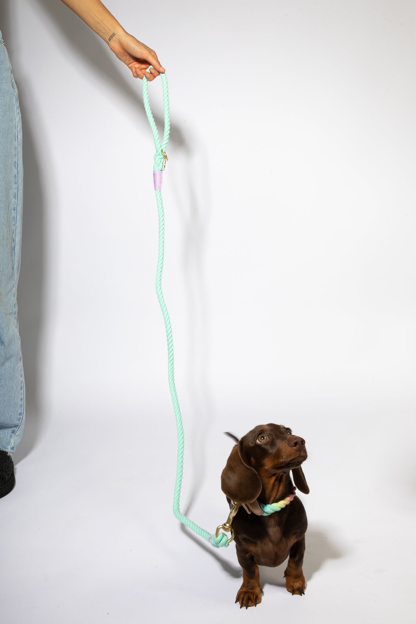 Fruit tingle rope leash