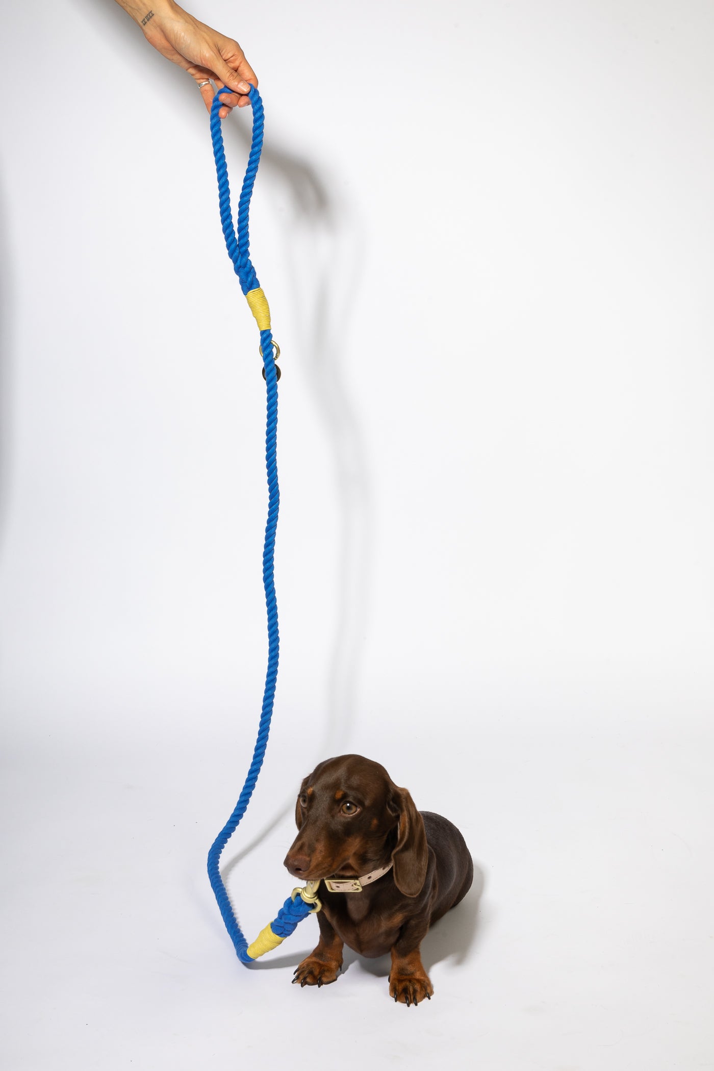 Royal blue rope leash