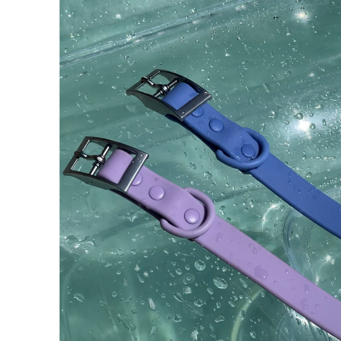 Ocean Blue Waterproof Collar